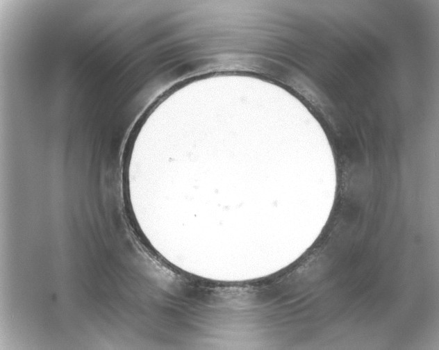 X0000066940836200603271135