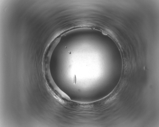 X0000066940843200603271135