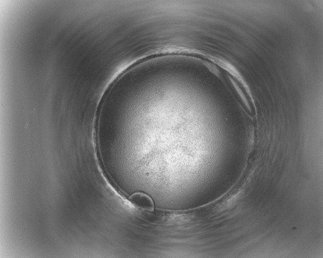 X0000066940847200603271135