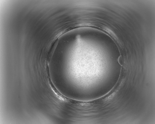 X0000066940849200603271135