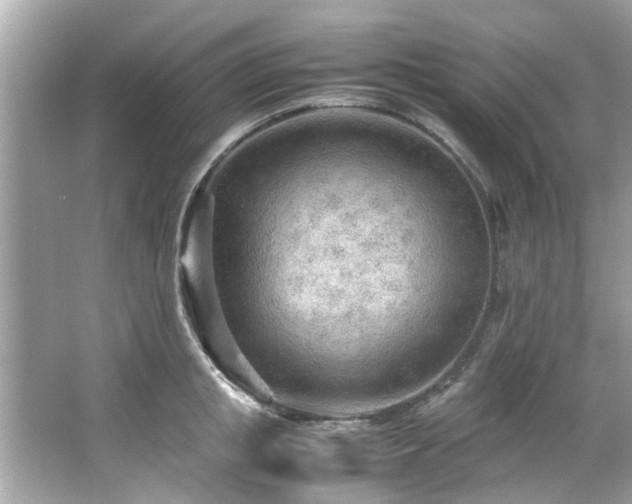 X0000066940853200603271135