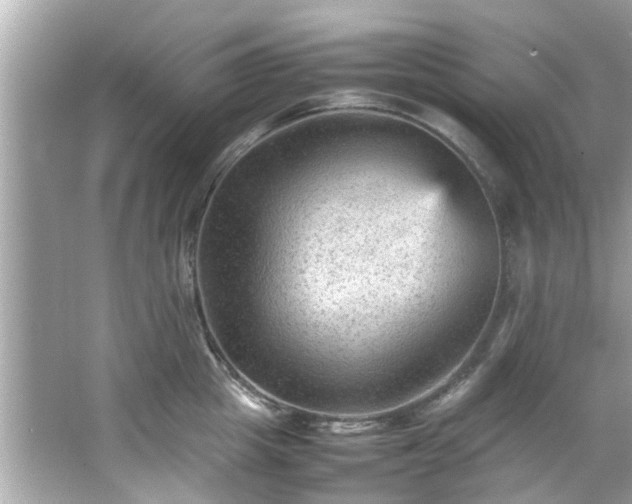 X0000066940857200603271135