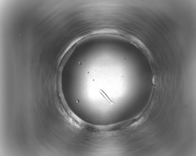 X0000066940860200603271135