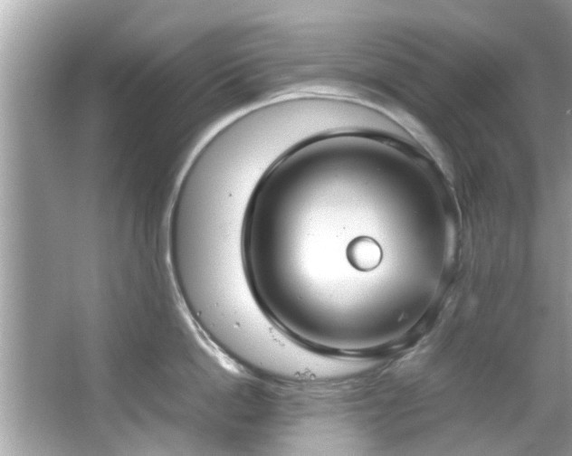 X0000066940862200603271135