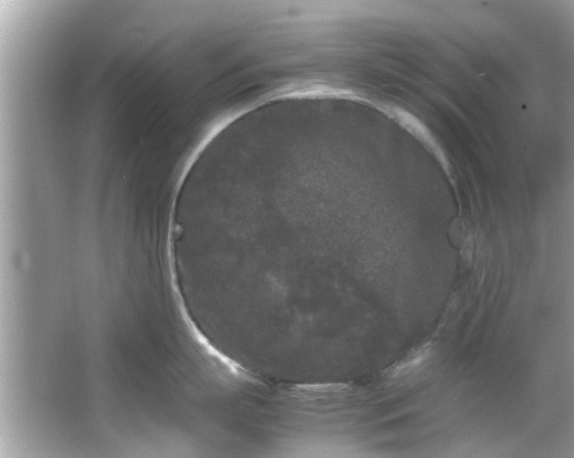 X0000066940863200603271135