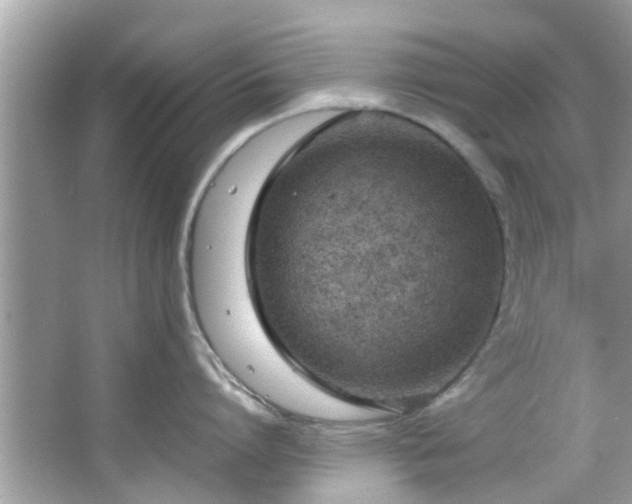 X0000066940864200603271135