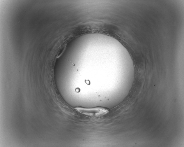 X0000066940865200603271134