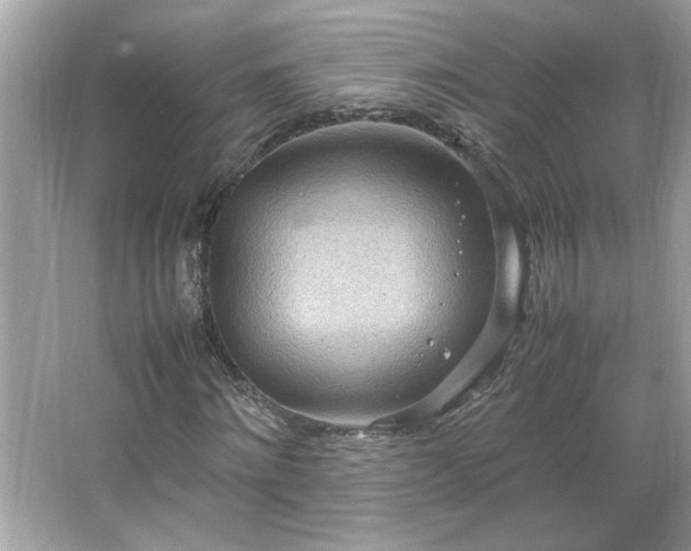 X0000066940868200603271134