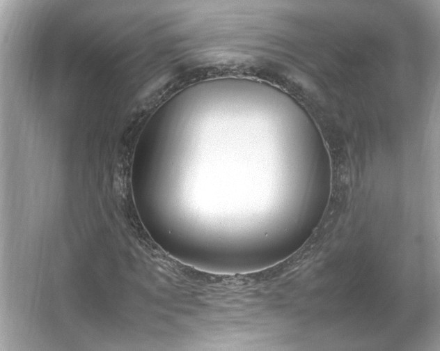 X0000066940869200603271134