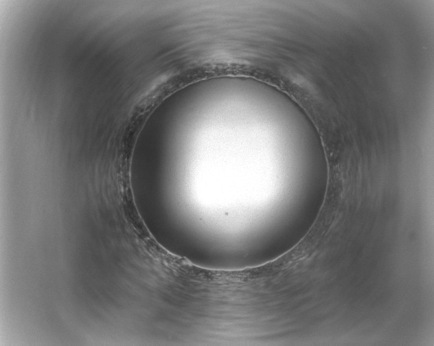 X0000066940870200603271134