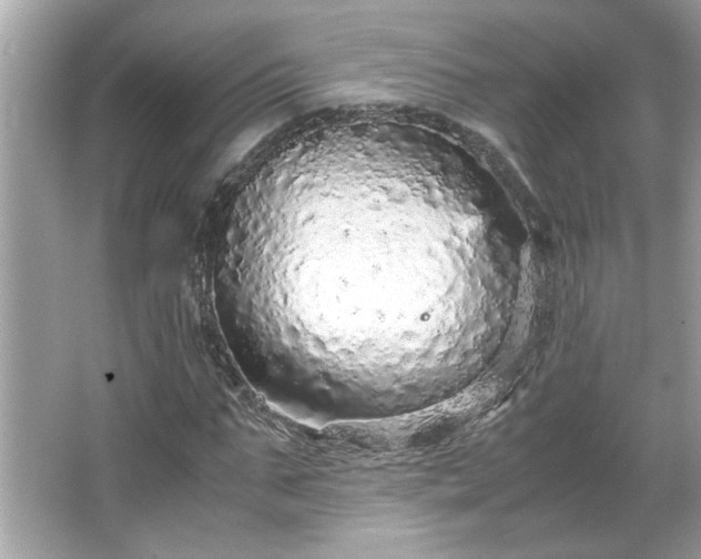 X0000066940871200603271134