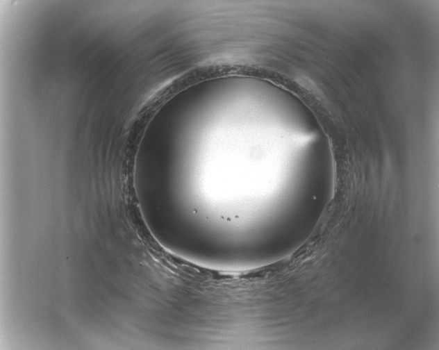 X0000066940872200603271134