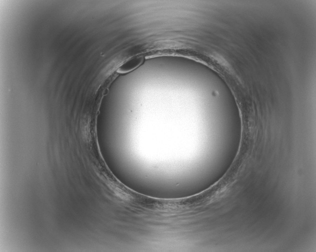 X0000066940873200603271134