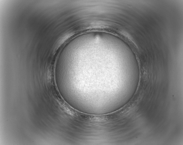 X0000066940874200603271134