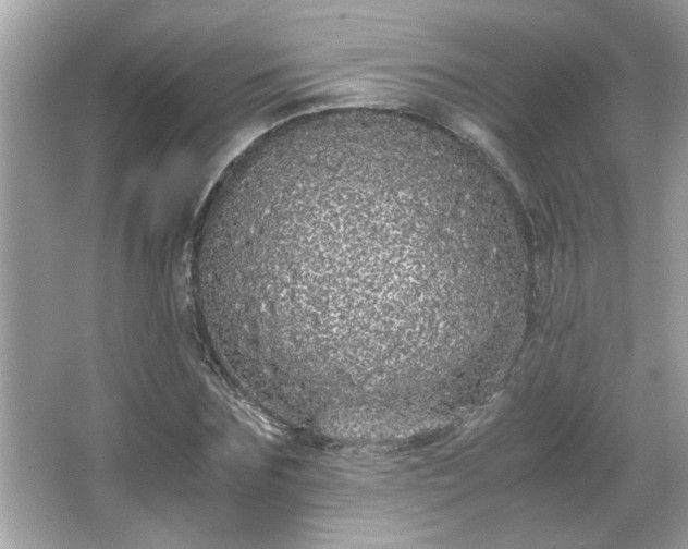 X0000066940875200603271134