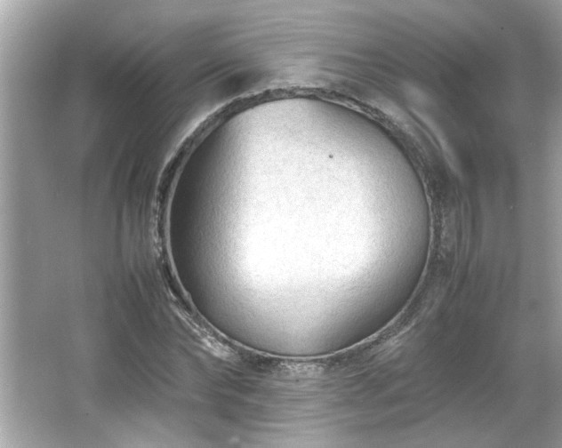 X0000066940878200603271134