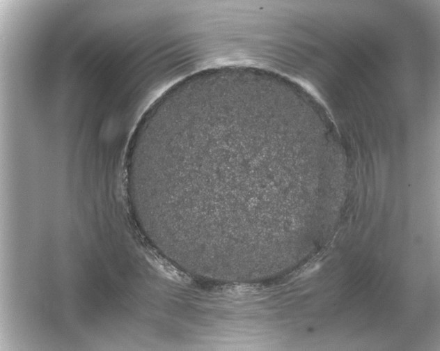 X0000066940879200603271134