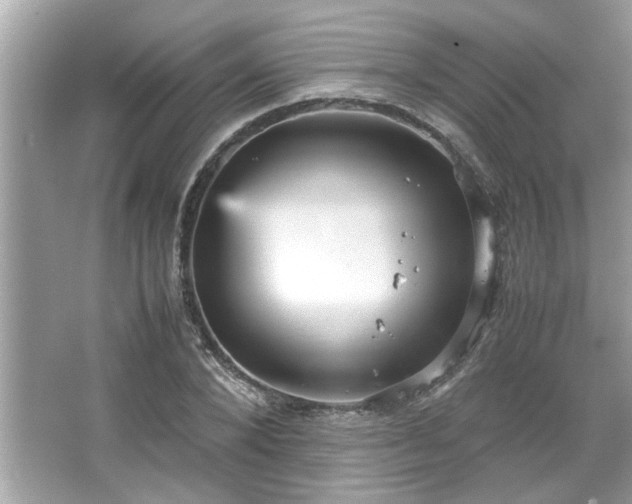 X0000066940880200603271134