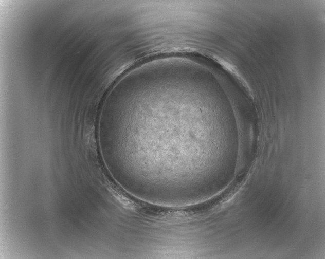 X0000066940881200603271134