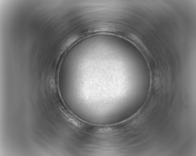 X0000066940882200603271134