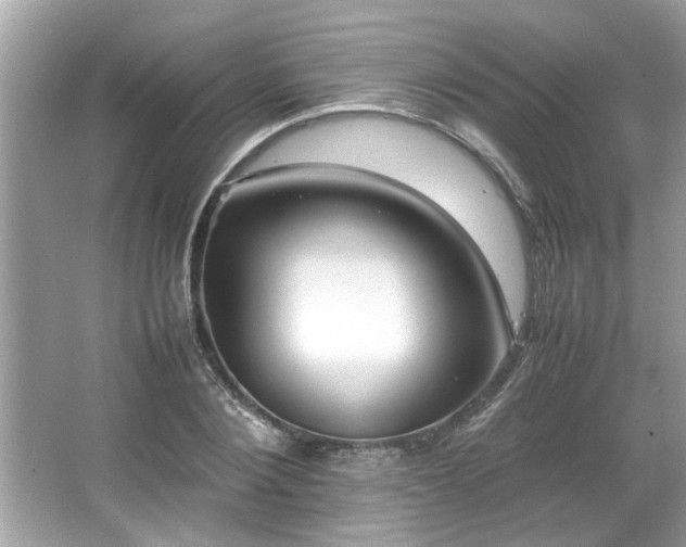 X0000066940884200603271134