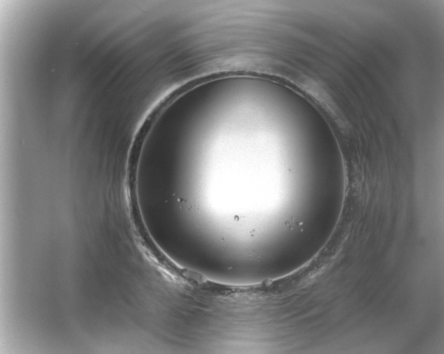 X0000066940888200603271134