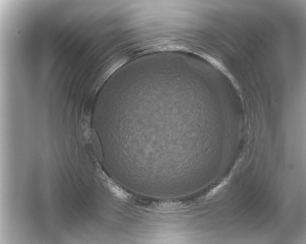 X0000066940889200603271134