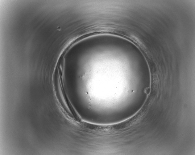 X0000066940891200603271134