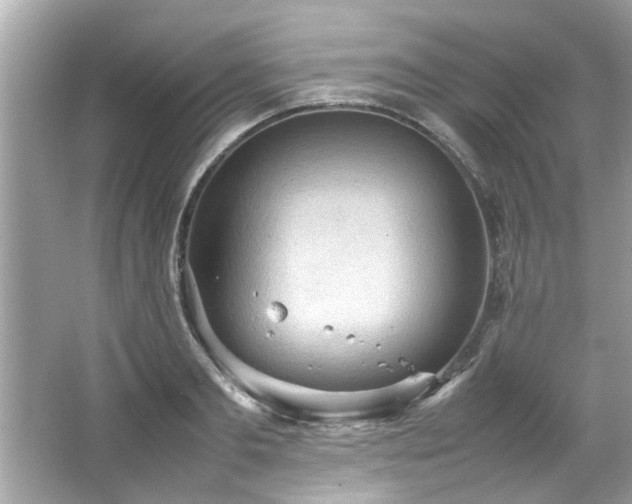 X0000066940893200603271134