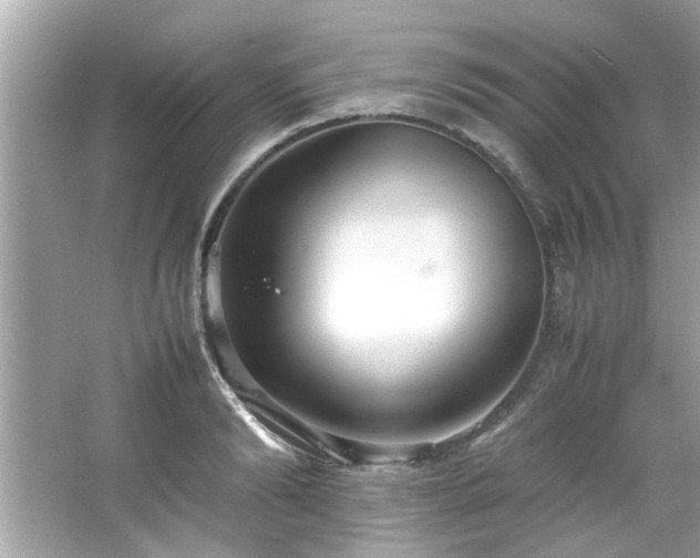 X0000066940894200603271134