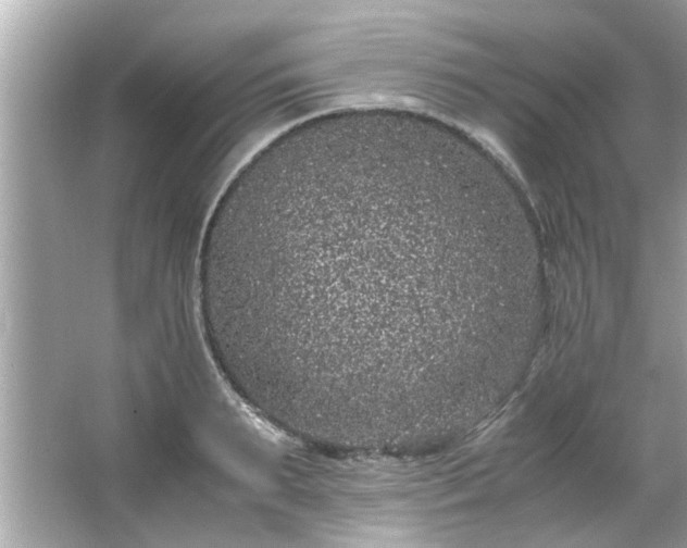 X0000066940895200603271134