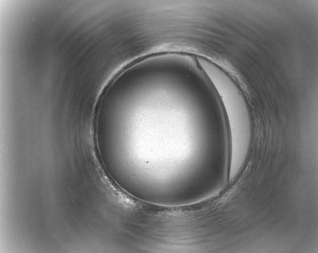 X0000066940896200603271134