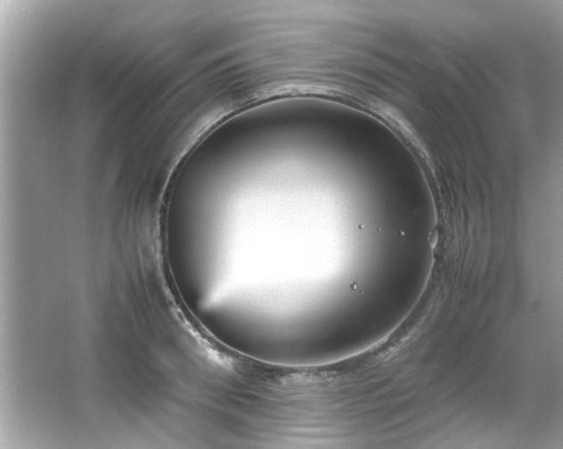 X0000066940898200603271134