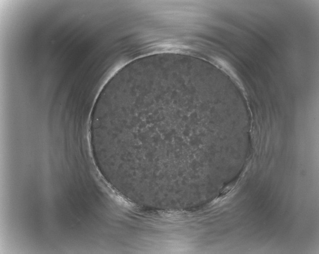 X0000066940899200603271134