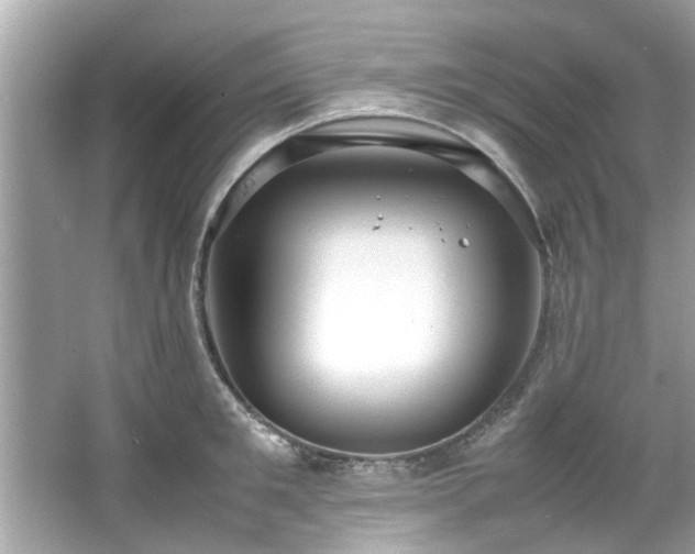 X0000066940901200603271134