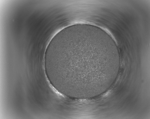 X0000066940903200603271134