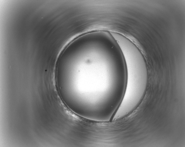 X0000066940904200603271134