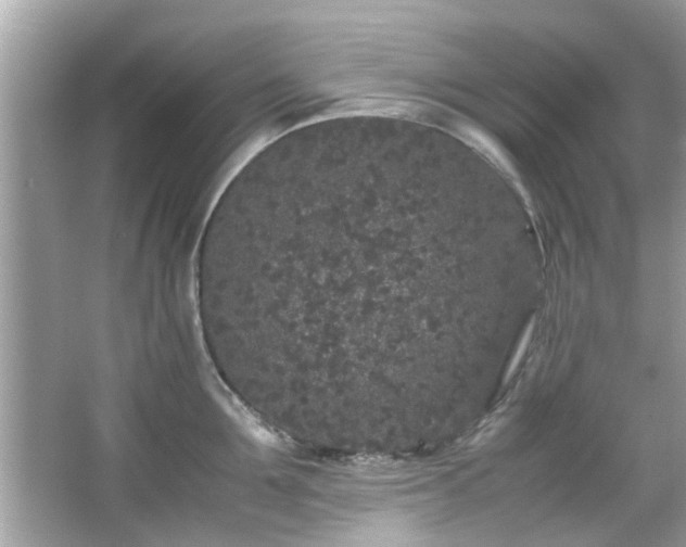 X0000066940907200603271134