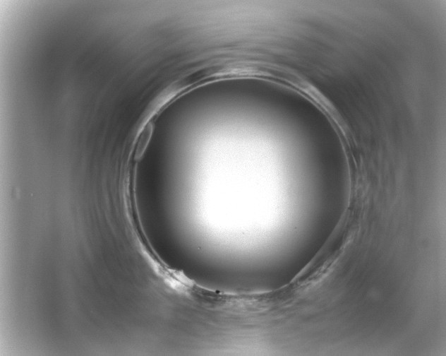 X0000066940909200603271134