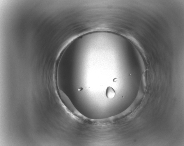 X0000066940910200603271134