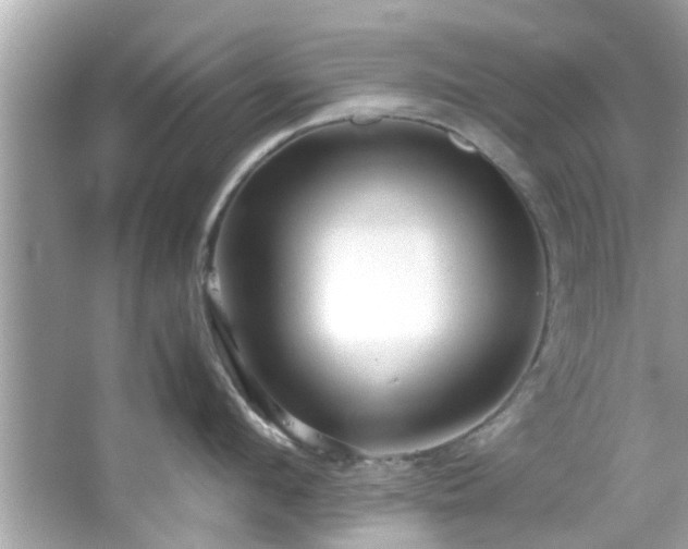 X0000066940912200603271134