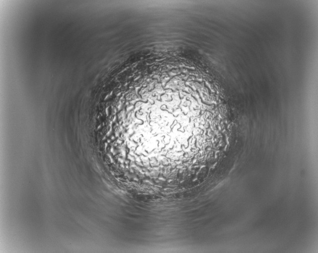 X0000066940913200603271133