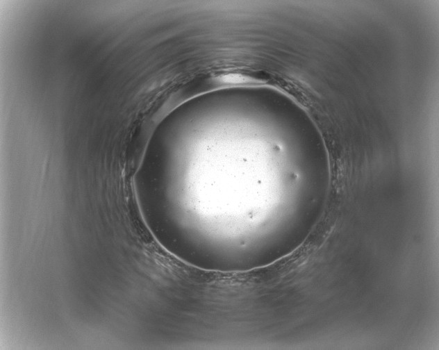 X0000066940917200603271133