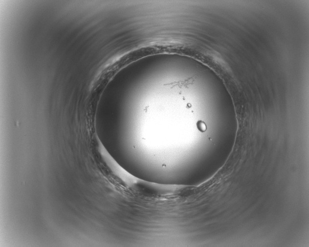 X0000066940920200603271133