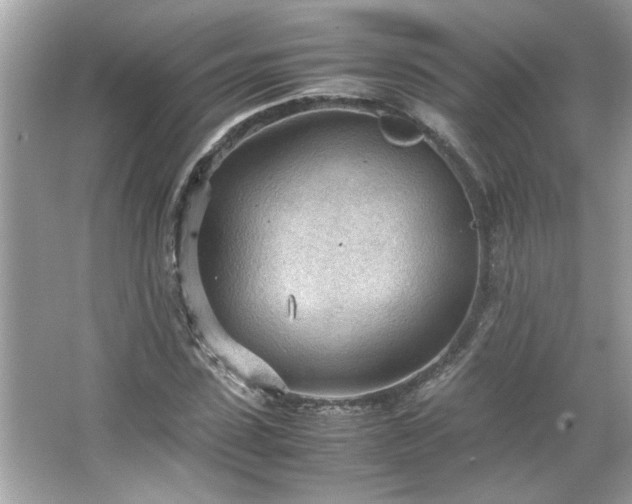 X0000066940923200603271133