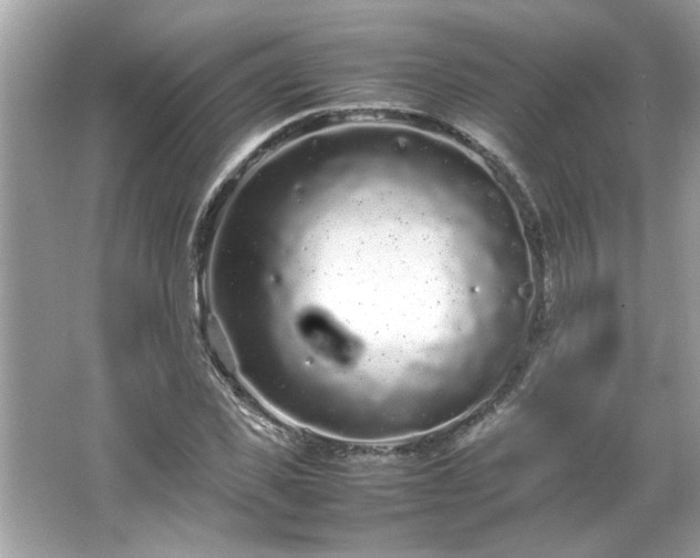 X0000066940925200603271133