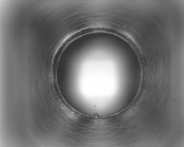 X0000066940927200603271133