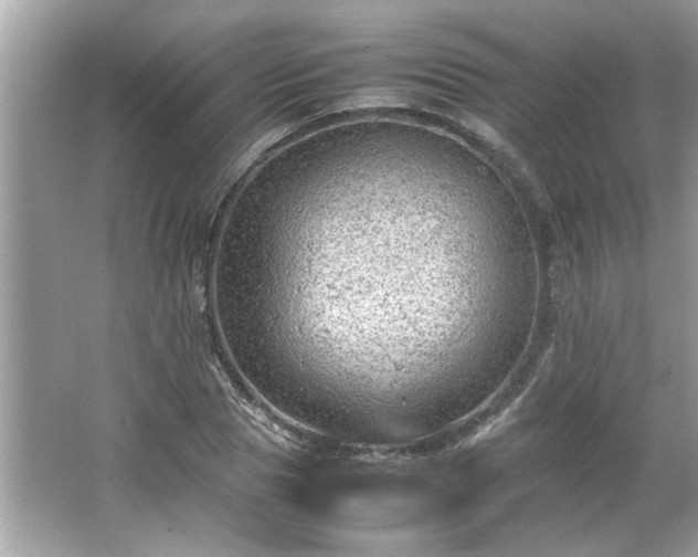 X0000066940929200603271133