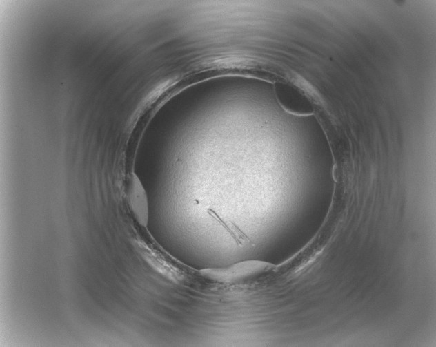 X0000066940930200603271133