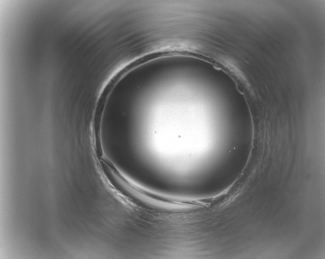 X0000066940936200603271133